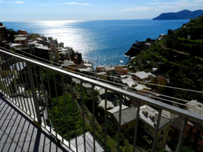 ARIA DI MARE, Manarola - Appartamento THE VIEW